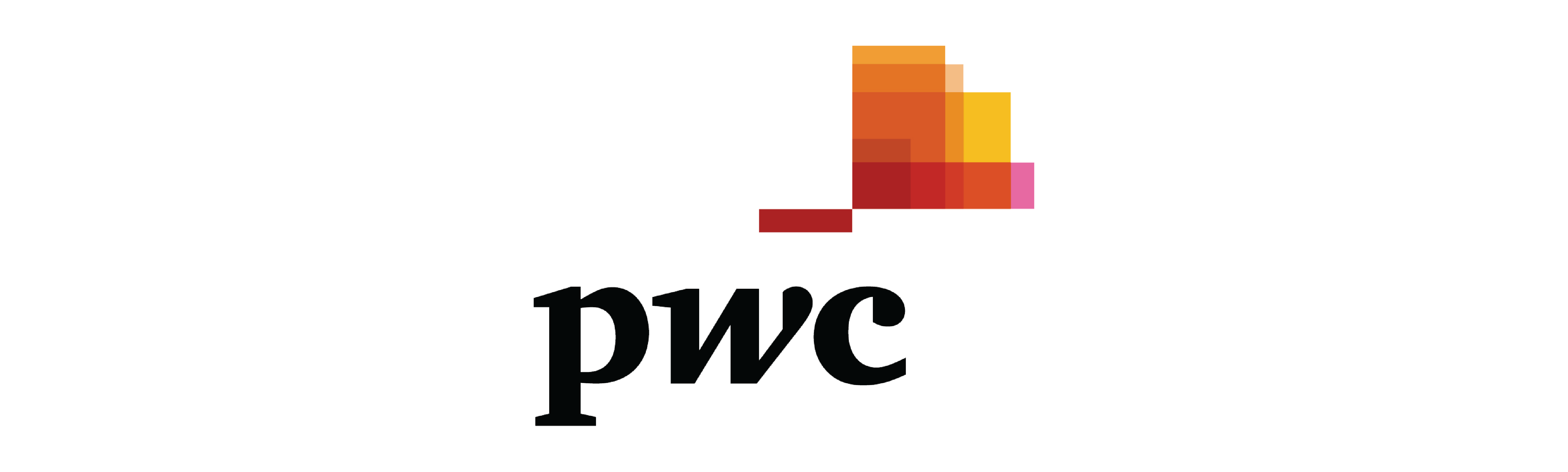PwC Support Web.png