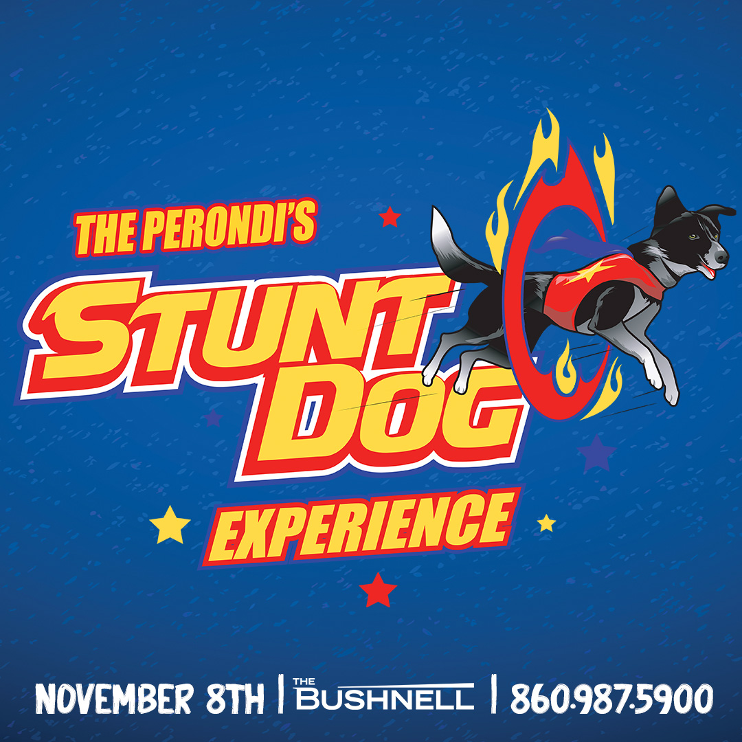 More Info for Chris Perondi's Stunt Dog Experience